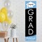 Big Dot of Happiness Light Blue Graduation Party Door Decoration - Vertical Banner